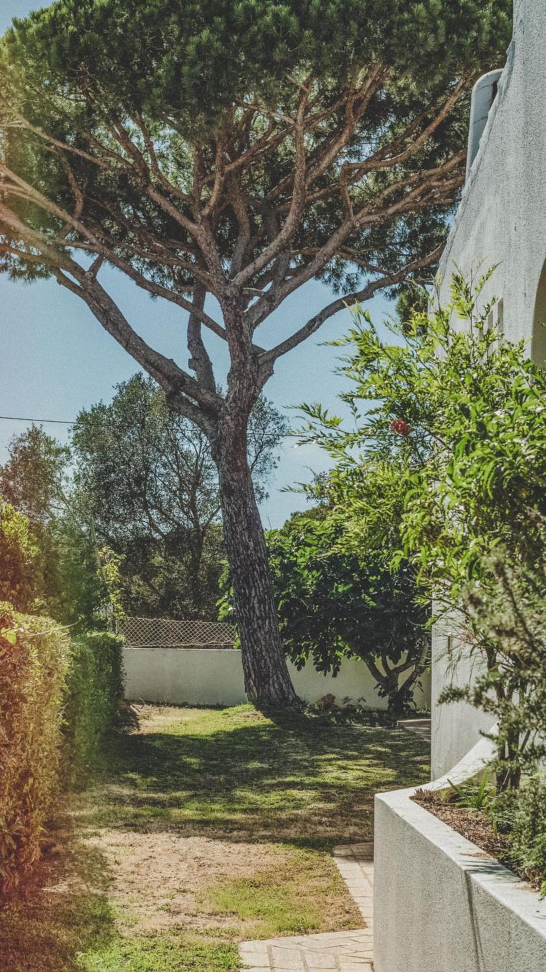 Pine House - Faro Airport, Beach And City Center 외부 사진