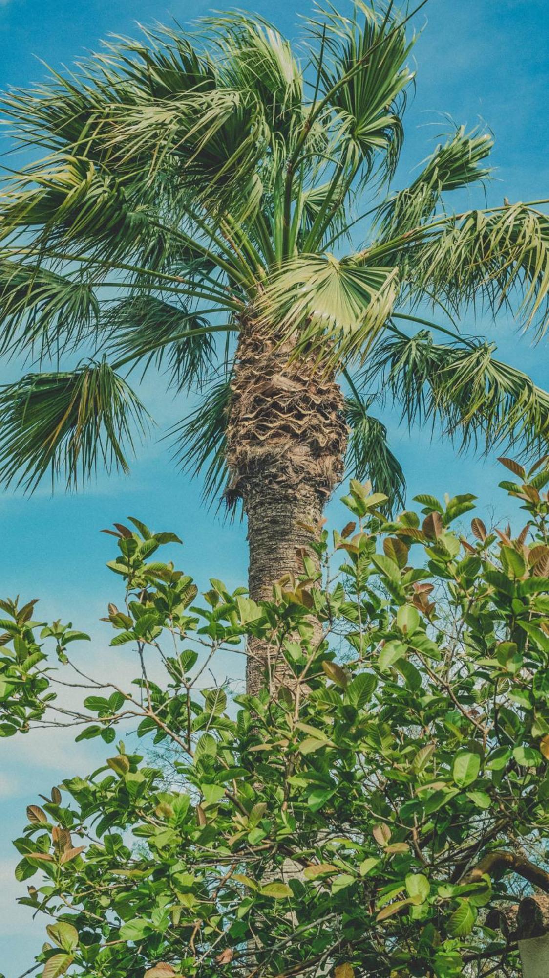 Pine House - Faro Airport, Beach And City Center 외부 사진